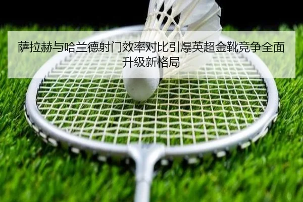 img_1785137095604_400_1_413.jpg